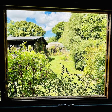 Appartement Hideaway à Lytchett Matravers Extérieur photo